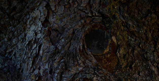 photo of old natual textured wooden surface