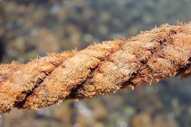 Photo of Old Rotten Rope