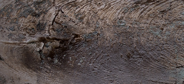 photo of old wood surface