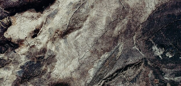 photo of old wood surface