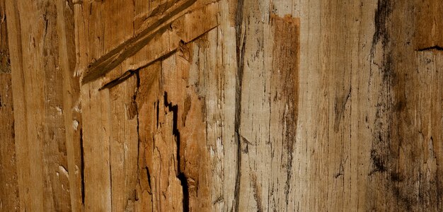 photo of old wooden surface