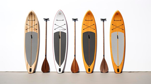 Paddleboard Rentals의 사진