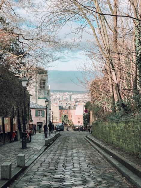 Photo of People on Street Near Trees Photo