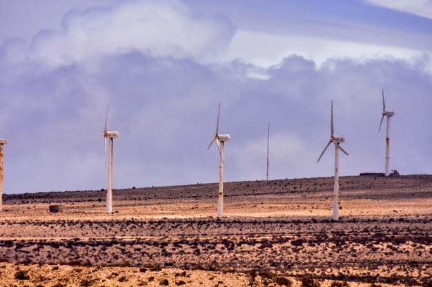 Photo Picture of a Beautiful Dry Desert Landscape