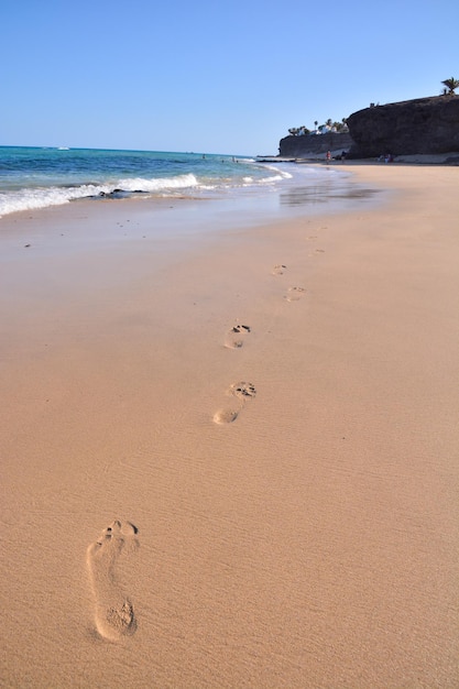 美しい砂の海のビーチの写真画像