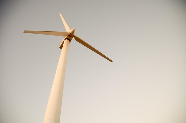 Photo Picture of a Classic Vintage Electric Windmill