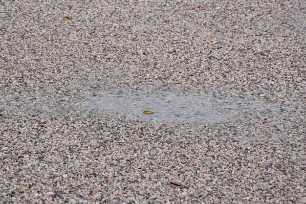 Photo Picture Puddle of water and raindrops