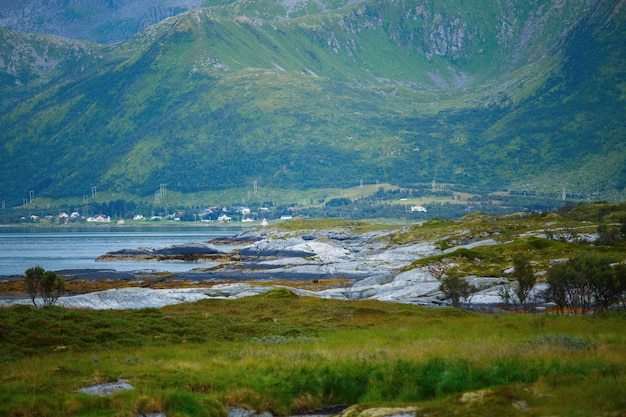 Foto di pittoreschi altopiani con vegetazione cielo nuvoloso in norvegia in estate