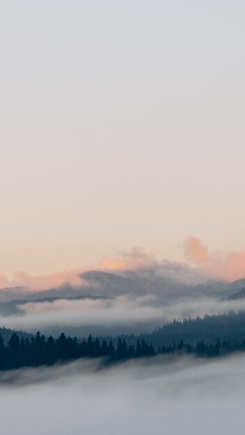 Foto foto di un pittoresco paesaggio con vista sulle foreste di montagna