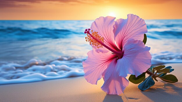 A photo of a pink hibiscus flower in full bloom tropical beach backdrop golden hour lighting