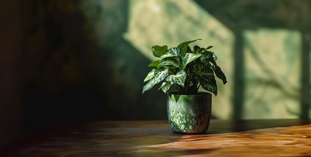 Photo photo of a plant in a green pot plant in a glass vase flowers in a glass vase
