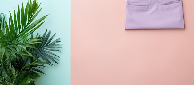 Photo photo of a potted plant against a vibrant pink and blue wall with empty space for text or design