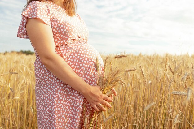 Photo of pregnant belly in nature Pregnant woman in dress holds hands on belly