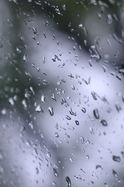 A photo of rain drops on the window glass with a blurred view of the blossoming green trees. 