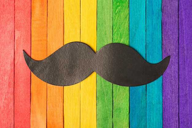 Above photo of rainbow colorful wooden sticks as colors of LGBT flag and mustaches on them