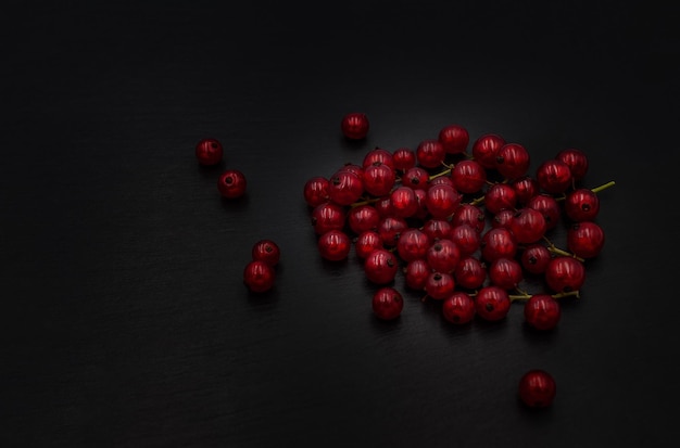 Foto foto di bacche di ribes rosso su sfondo nero