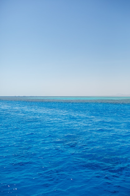 Photo of the red sea, bright sun