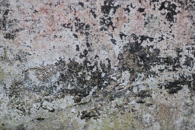 Photo of red wall texture with cement on the wall