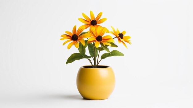 白い背景で隔離の鍋にルドベキアの花の写真