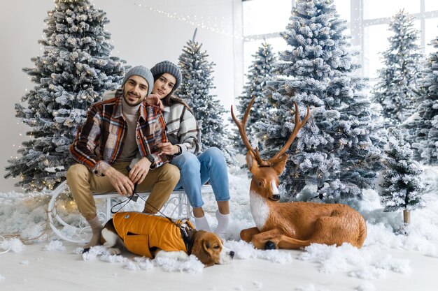 若いカップルのスタジオでの写真撮影 犬と一緒のカップル 女の子を持つ男がクリスマスを祝っている 新年のラブストーリー