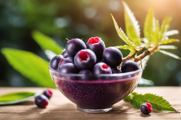 Photo shot of a acai attached to a tree branch with a blurred background