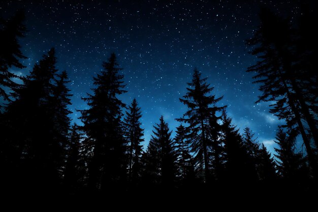 Photo photo of silhouetted trees against a starry night sky