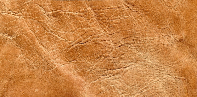 Photo photo skin texture brown shade