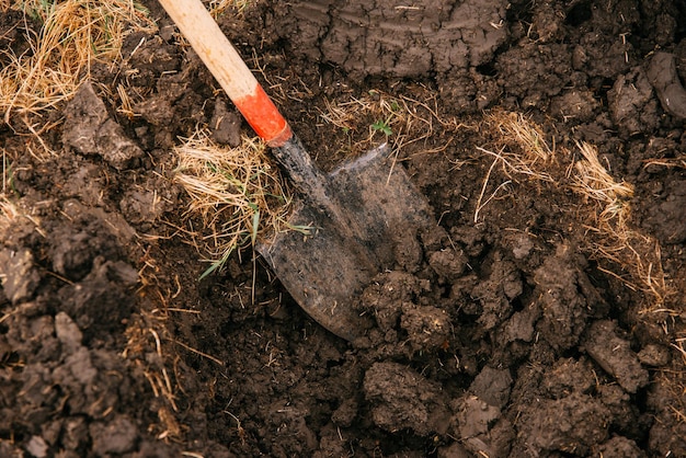 Photo of a spade in the process of digging a hole in order to\
plant a tree