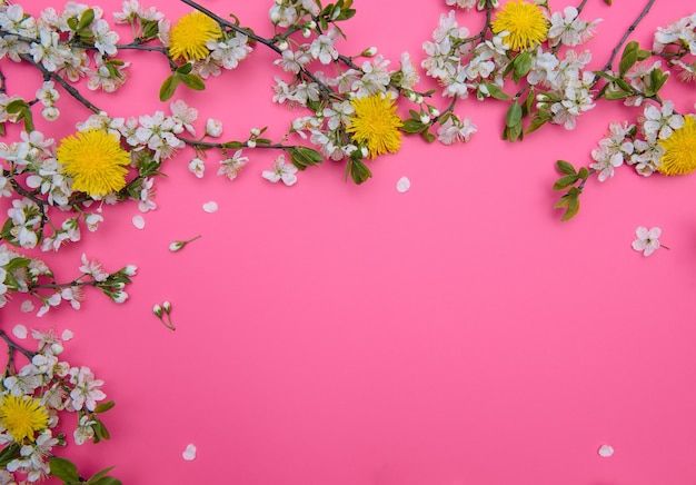 Foto dell'albero del fiore di ciliegia bianco della molla sulla superficie rosa pastello