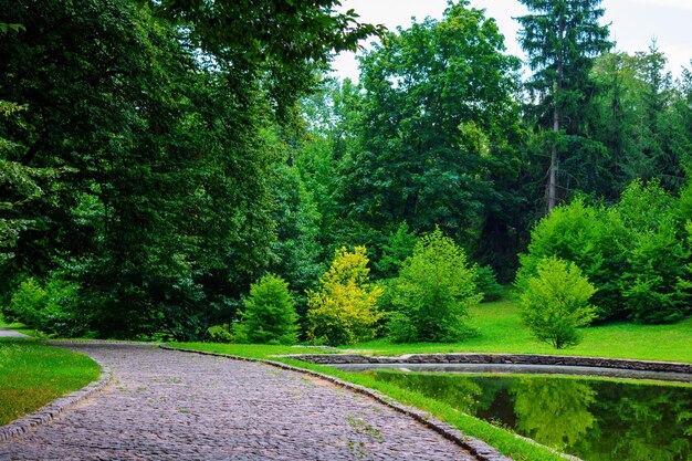 夏の緑豊かな公園の湖の近くの石の道の写真