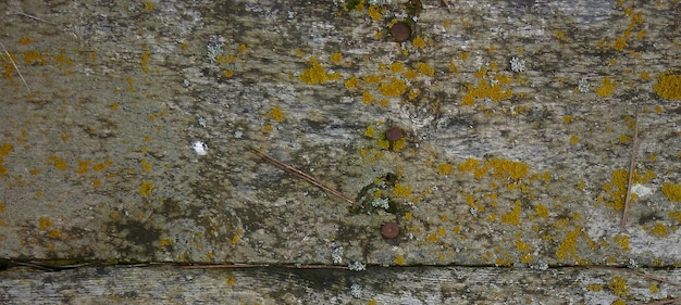 photo of a stone surface