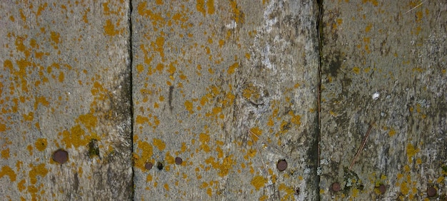 photo of a stone surface