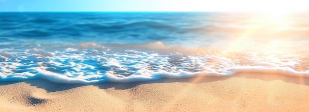 Фотография солнечного дня тропического пляжа с видом на пальмовый пляж
