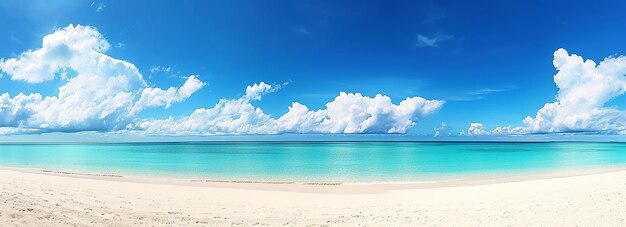晴れた日のトロピカルビーチのパームビーチビューの背景の写真