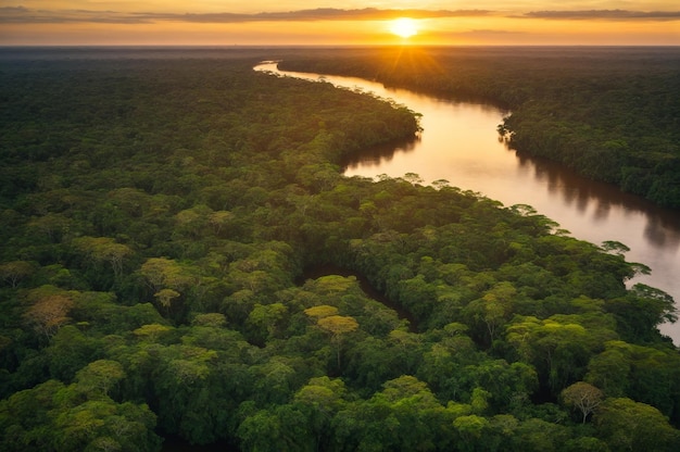 A photo sunrise over the river atlantic forest in brazil mata atlantica