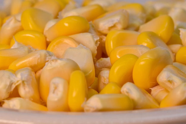 Photo photo of sweet corn isolated on white background with closeup macro view