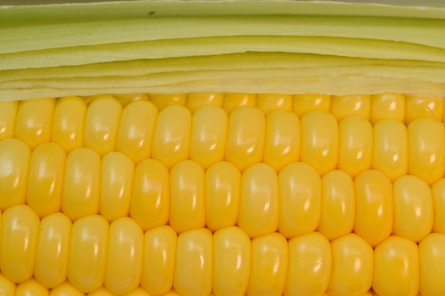 Photo photo of sweet corn isolated on white background with closeup macro view