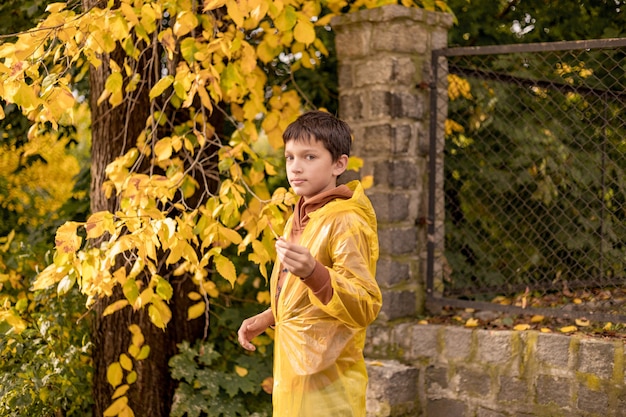 Photo of teenage boy in a yellow raincoat among autumn leaves, walking in the city park