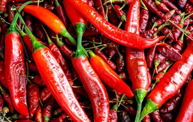 photo top view of chilli background