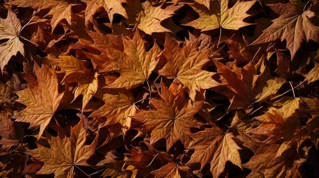 Фото вид сверху крупным планом коричневых сушеных кленовых листьев