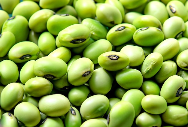 photo top view green soybeans full on background