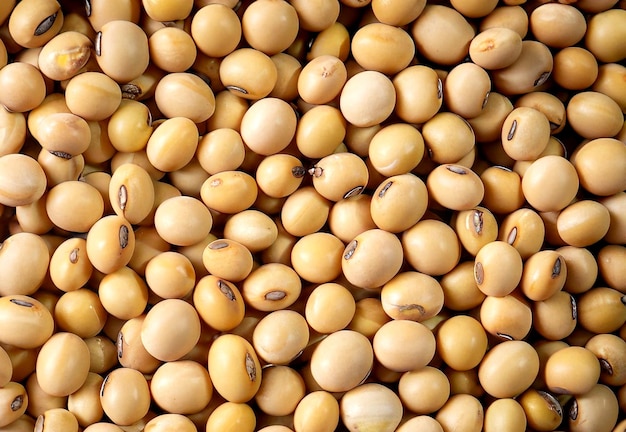 photo top view of soya beans background