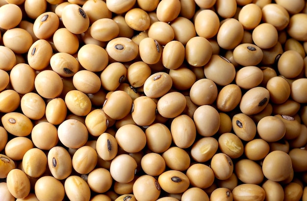 photo top view of soya beans background