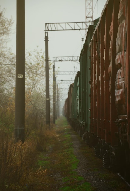 Photo photo of the train on rainy cloudy weather with shallow depth of field