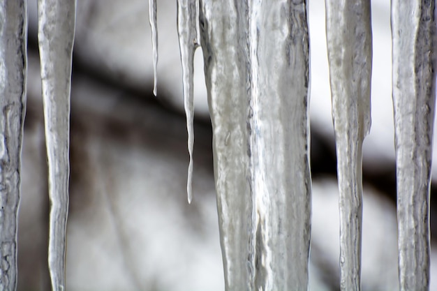 Photo of transparent icicles on blurred background