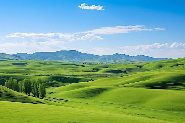 Photo photo of vast grass landscape stretching to the horizon