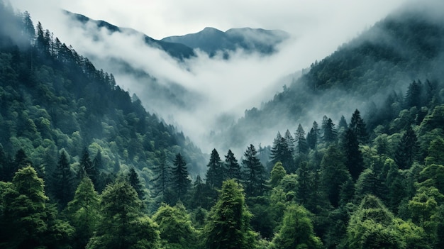 photo vertical shot of thick forest and a river generated by AI