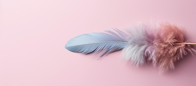 柔らかいピンクの背景に鮮やかな青とピンクの羽の写真（コピースペース付き）