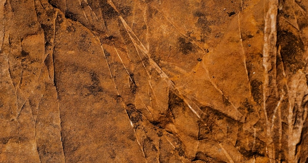 Photo photo of vintage textured cement wall in house interior