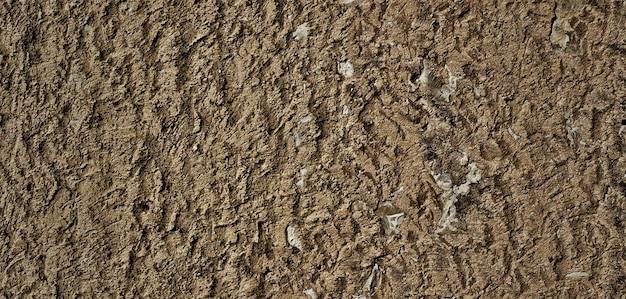 photo of vintage textured cement wall